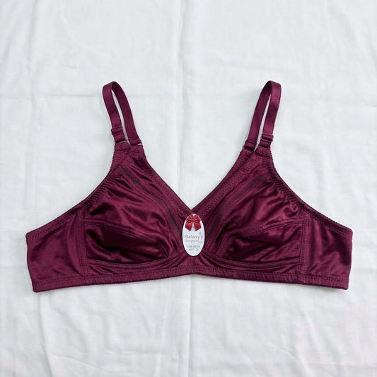 Nudra Premium Jarsi Bra Bundle — Pack of 2 (Classic Solids)