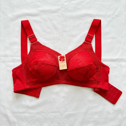Zumena Exclusive Full Coverage Lace Bra